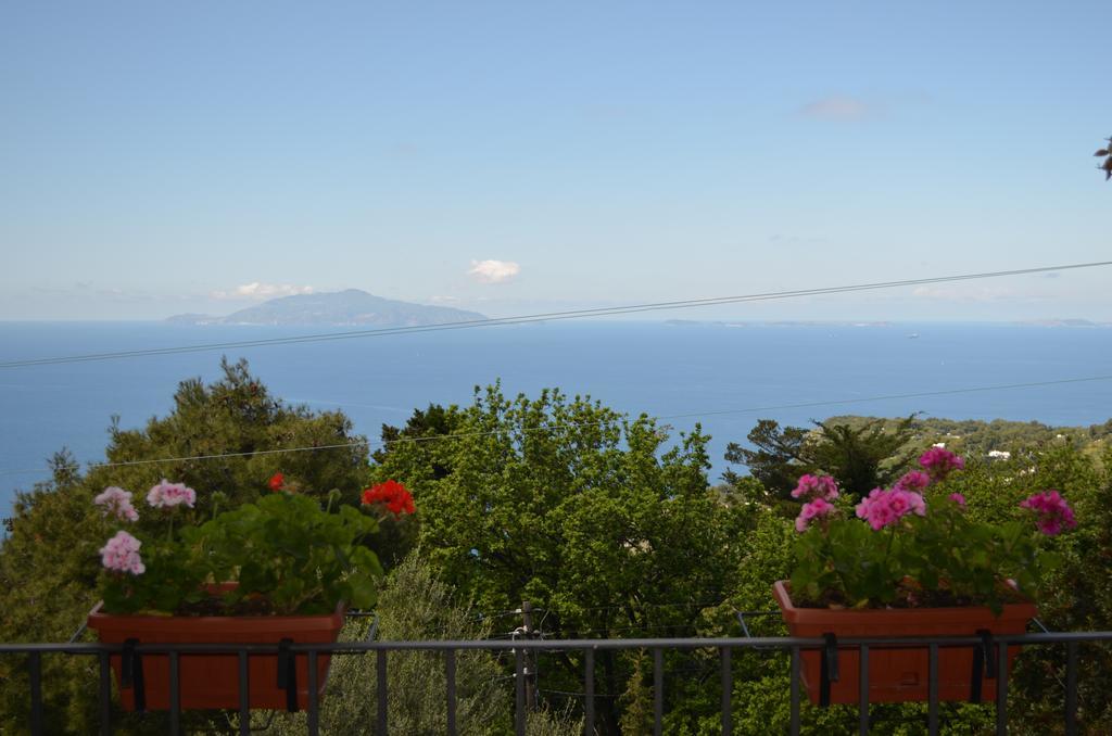 Le Ginestre Di Capri Bb & House Bed & Breakfast