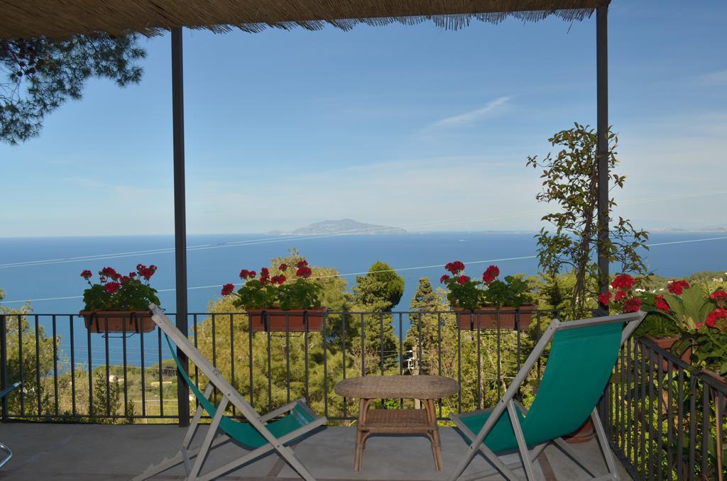 Le Ginestre Di Capri Bb & House Bed & Breakfast Anacapri (Isola di Capri)