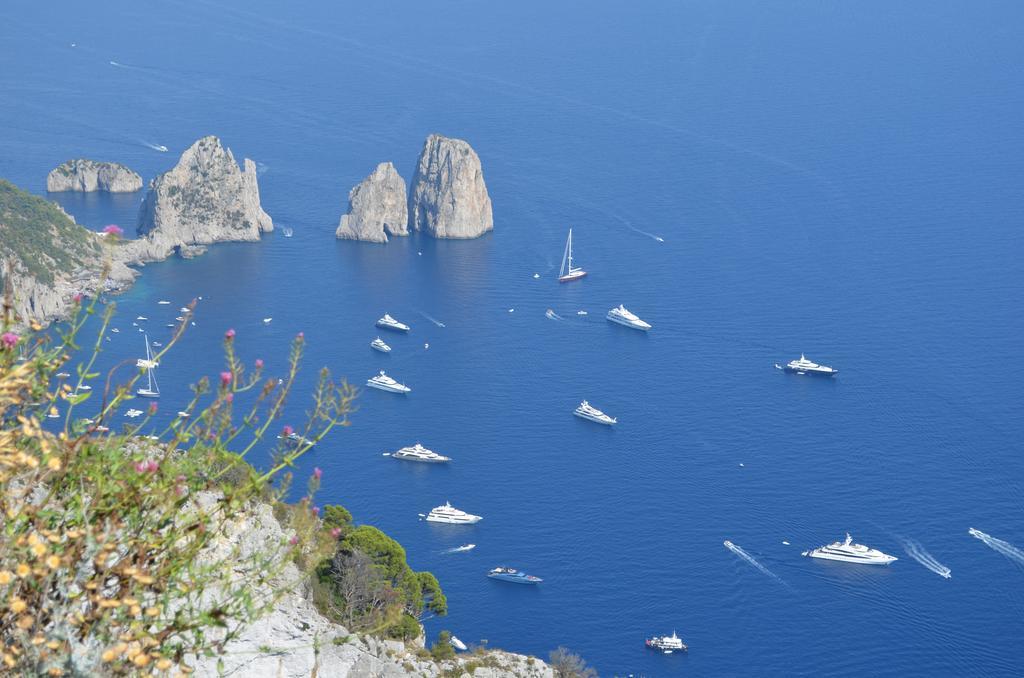 Bed & Breakfast Le Ginestre Di Capri Bb & House Anacapri (Isola di Capri)