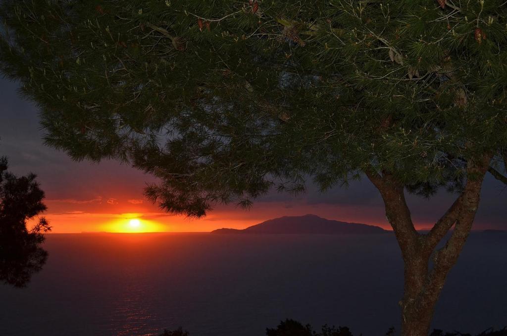 Le Ginestre Di Capri Bb & House 2*