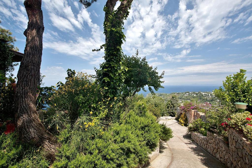 Le Ginestre Di Capri Bb & House 2*