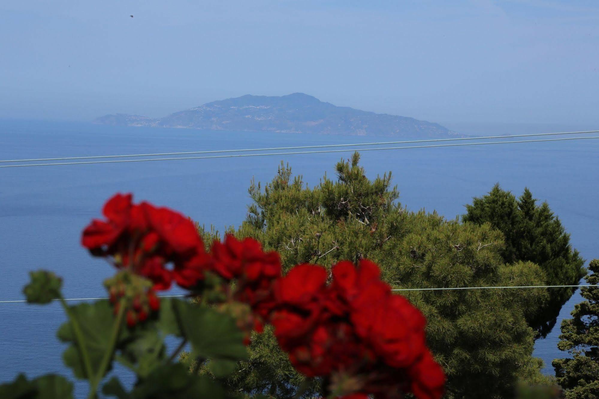 Bed & Breakfast Le Ginestre Di Capri Bb & House Anacapri (Isola di Capri)